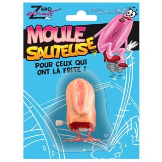 Minou sauteur