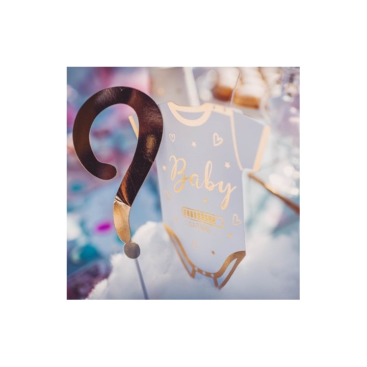 Kit photobooth fille ou garçon ? x12 - Article de fête