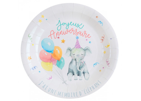 10 assiettes anniversaire zoo party