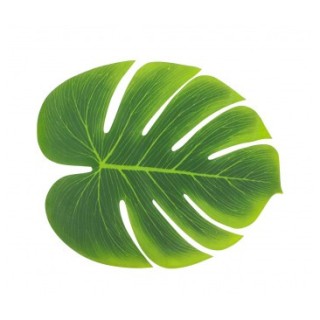 Lot 6 feuilles philo 15cms