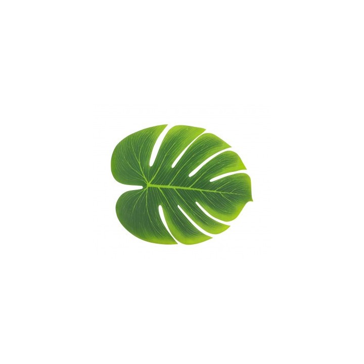 Lot 6 feuilles philo 15cms