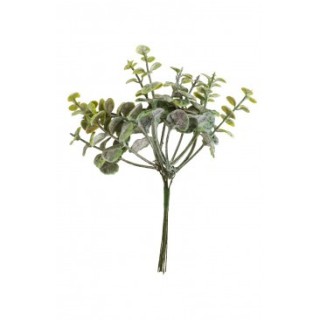 Mini bouquet eucalyptus