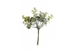 Mini bouquet eucalyptus