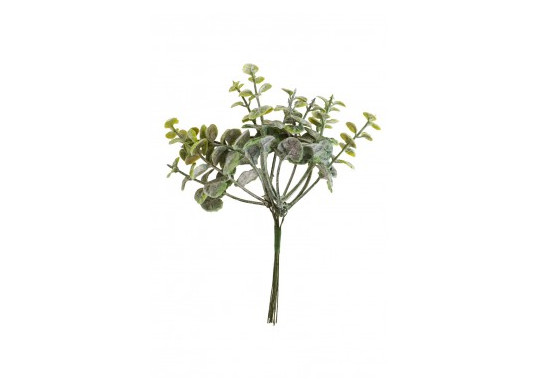 Mini bouquet eucalyptus