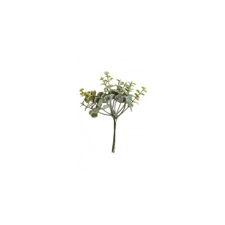 Mini bouquet eucalyptus