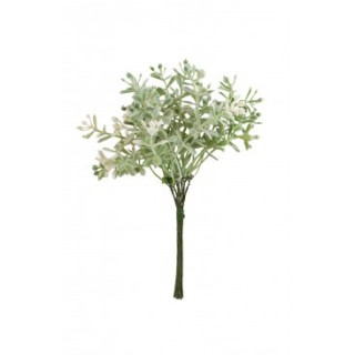 Mini bouquet santoline