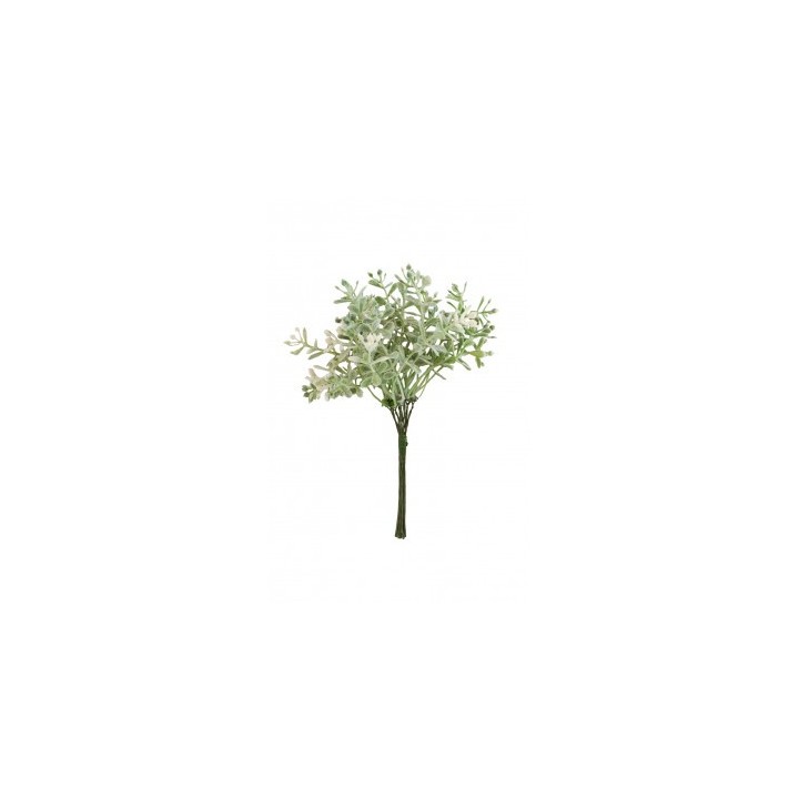 Mini bouquet santoline
