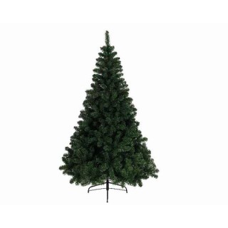 Sapin impérial vert