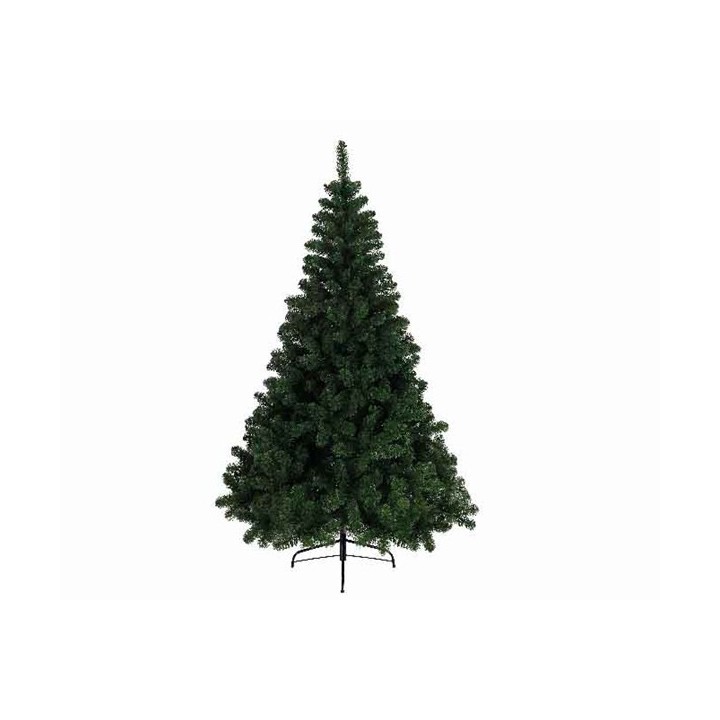 Sapin impérial vert