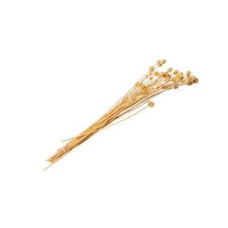 Bouquet chardon séché naturel