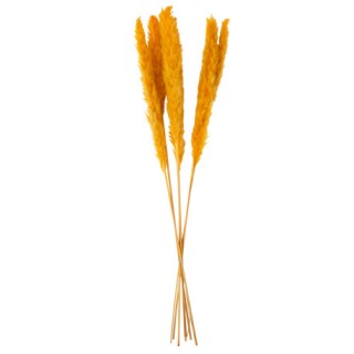 Epis de plumeaux moutarde x6