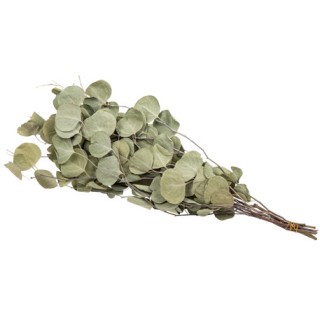 Bouquet eucalyptus séché