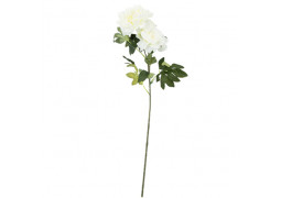 Pivoine blanche 80cm