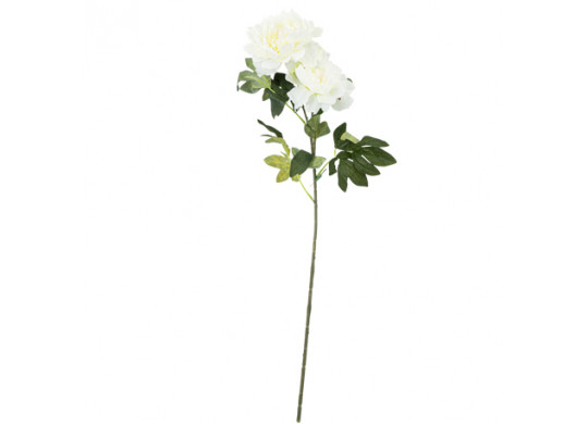 Pivoine blanche 80cm - Fleurs et feuillages