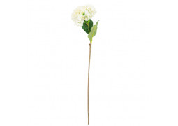 Hortensia blanc 80cm