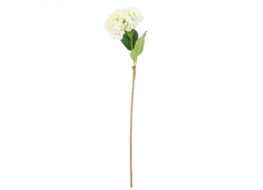 Hortensia blanc 80cm