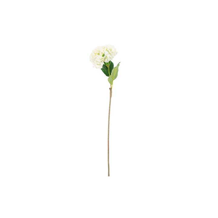 Hortensia blanc 80cm