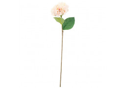 Hortensia rose 80cm