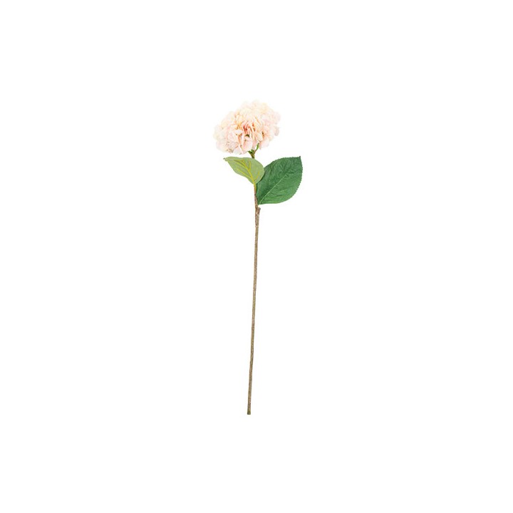 Hortensia rose 80cm