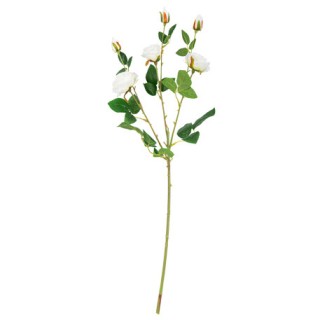 Roses blanches 66cm