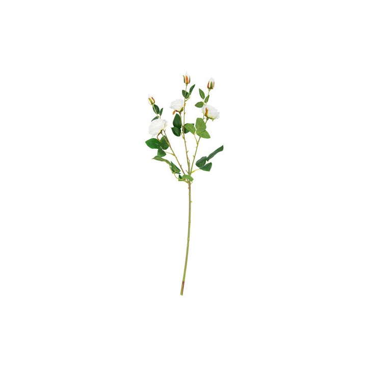 Roses blanches 66cm