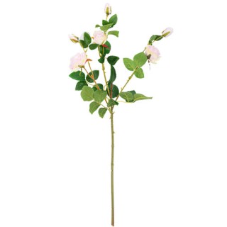 Roses rose poudré 66cm