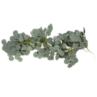 Descente eucalyptus 1m