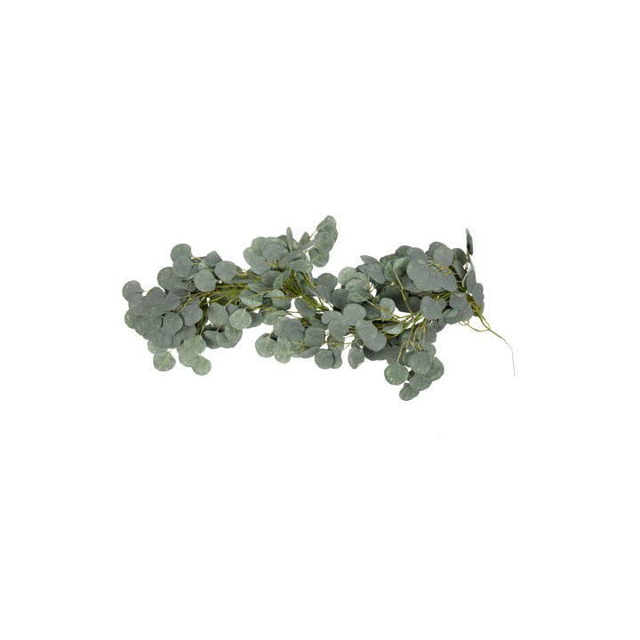 Descente eucalyptus 1m