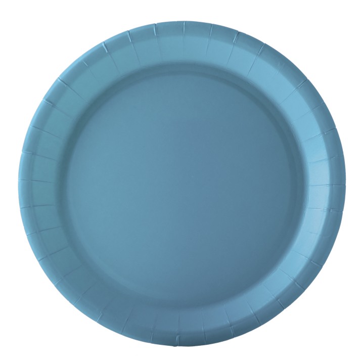 Assiette ronde carton bleu pastel 22 cm