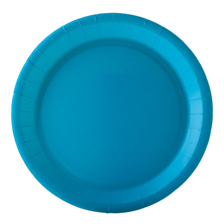 Assiette ronde carton turquoise 22cm