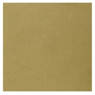 Serviettes intissées naturel
