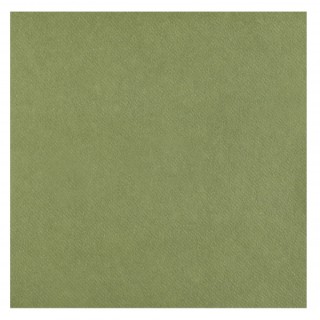 Serviettes intissées olive