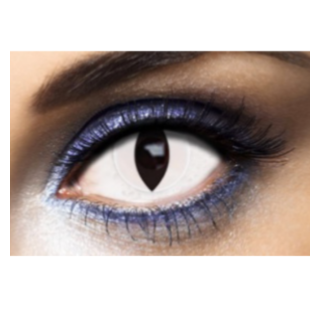 Lentilles de contact oeil chat blanc