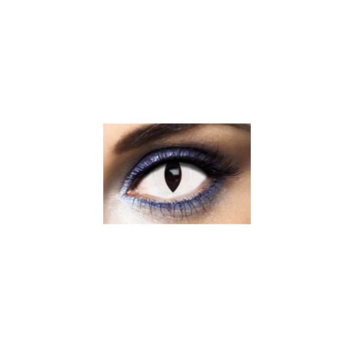 Lentilles de contact oeil chat blanc