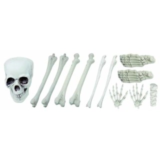 Sac d'os 12pcs