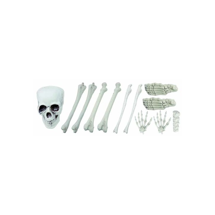 Sac d'os 12pcs