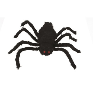 Araignée marcheuse 60cm