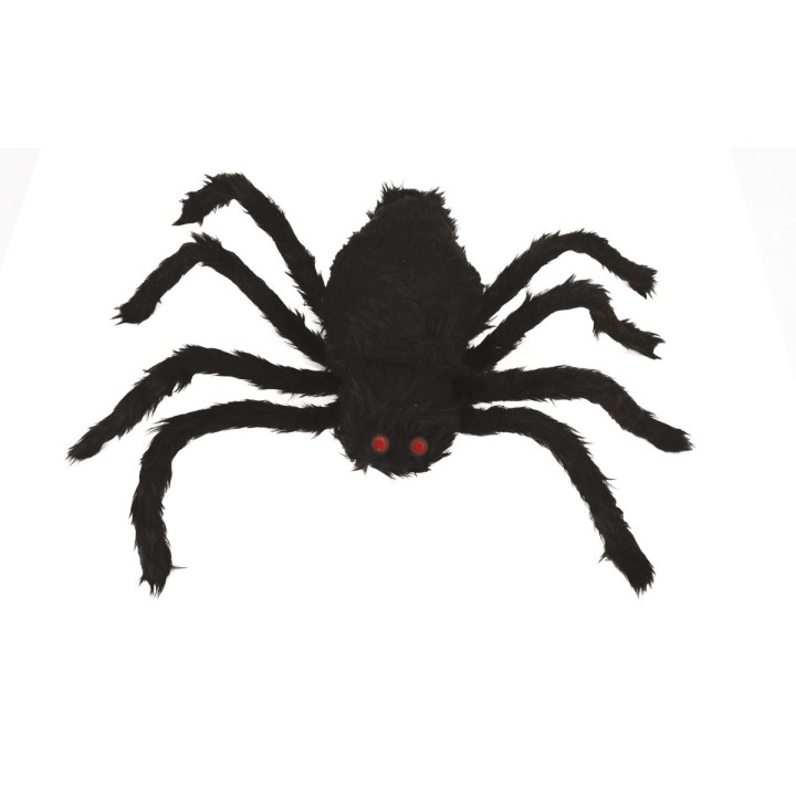 Araignée marcheuse 60cm