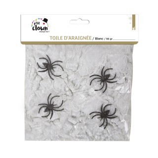 Toile araignée blanche
