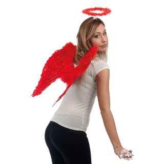 Ailes d'ange rouge