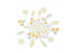100 confettis mimosa