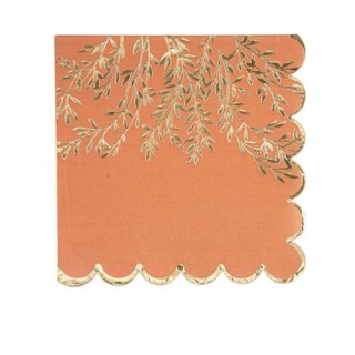 16 Serviettes terracotta jolis brins