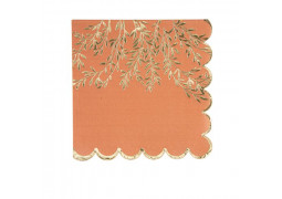 16 Serviettes terracotta jolis brins