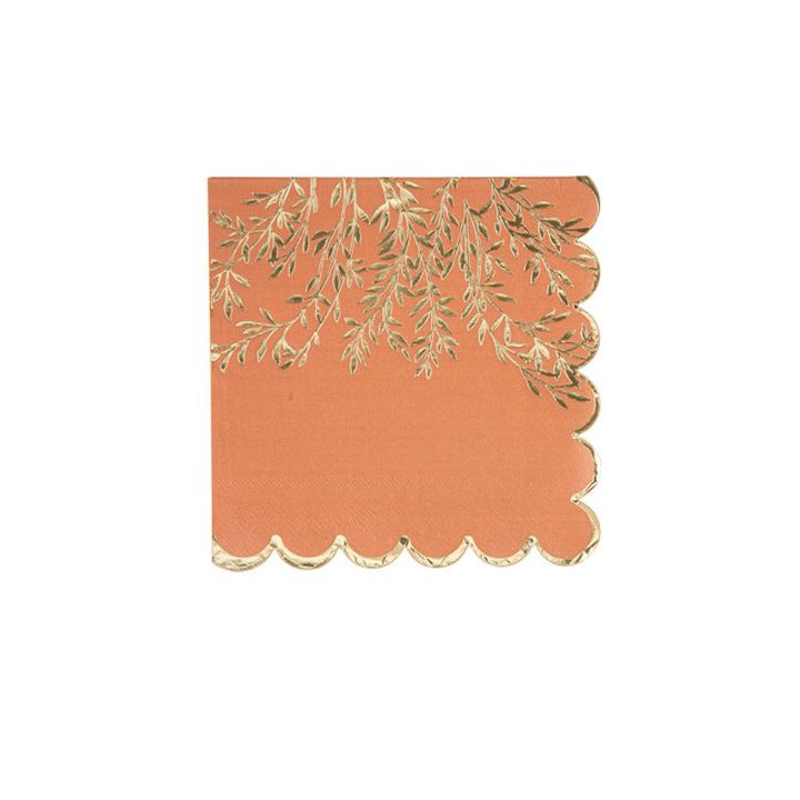 16 Serviettes terracotta jolis brins