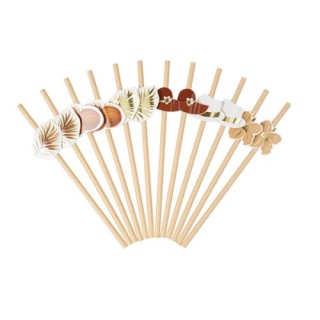 12 Pailles tropicool