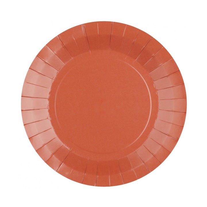 Assiette ronde carton brique 23cm