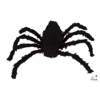 Araignée géante noire