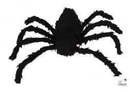 Araignée géante noire