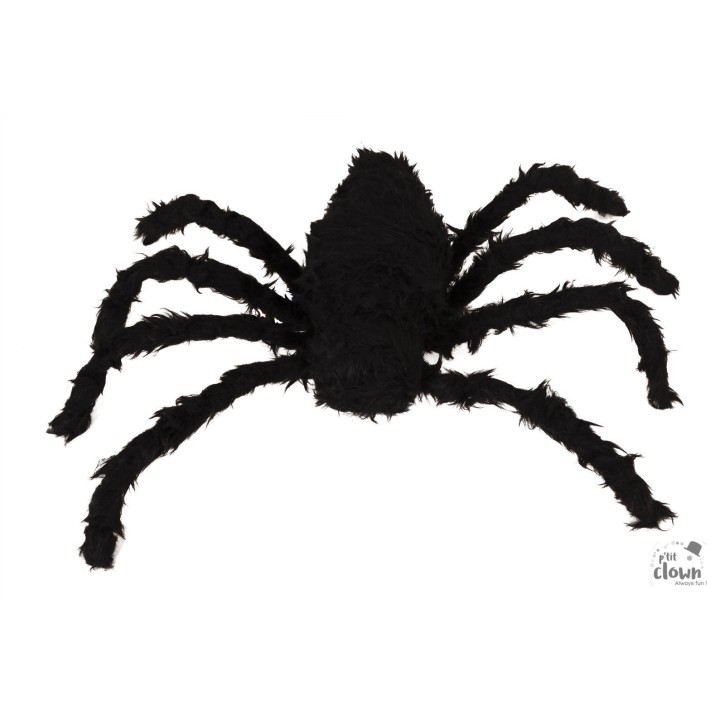 Araignée géante noire