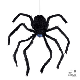 Araignée géante grimpante